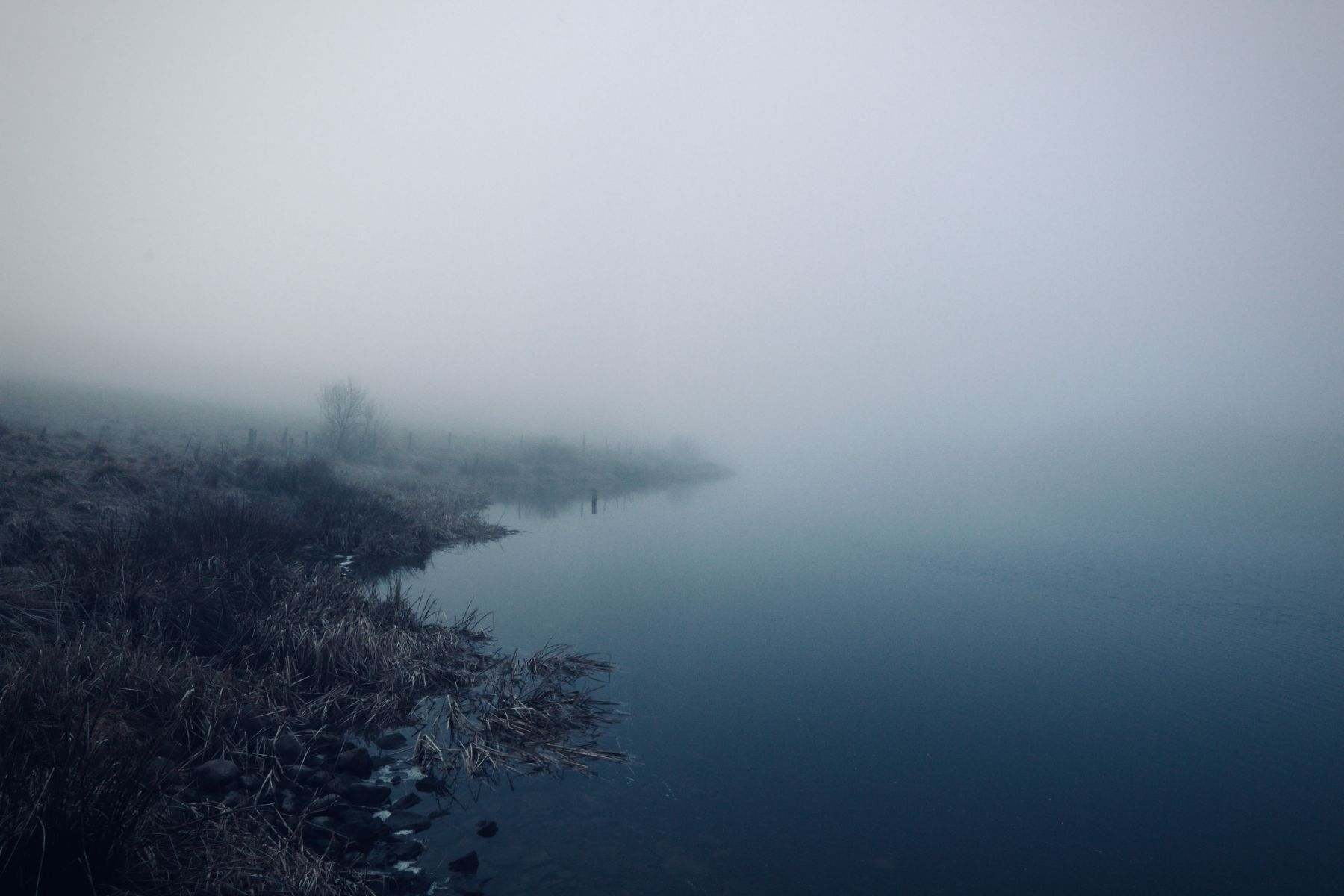 Understanding the Roots of Emotional Experiences: Grief